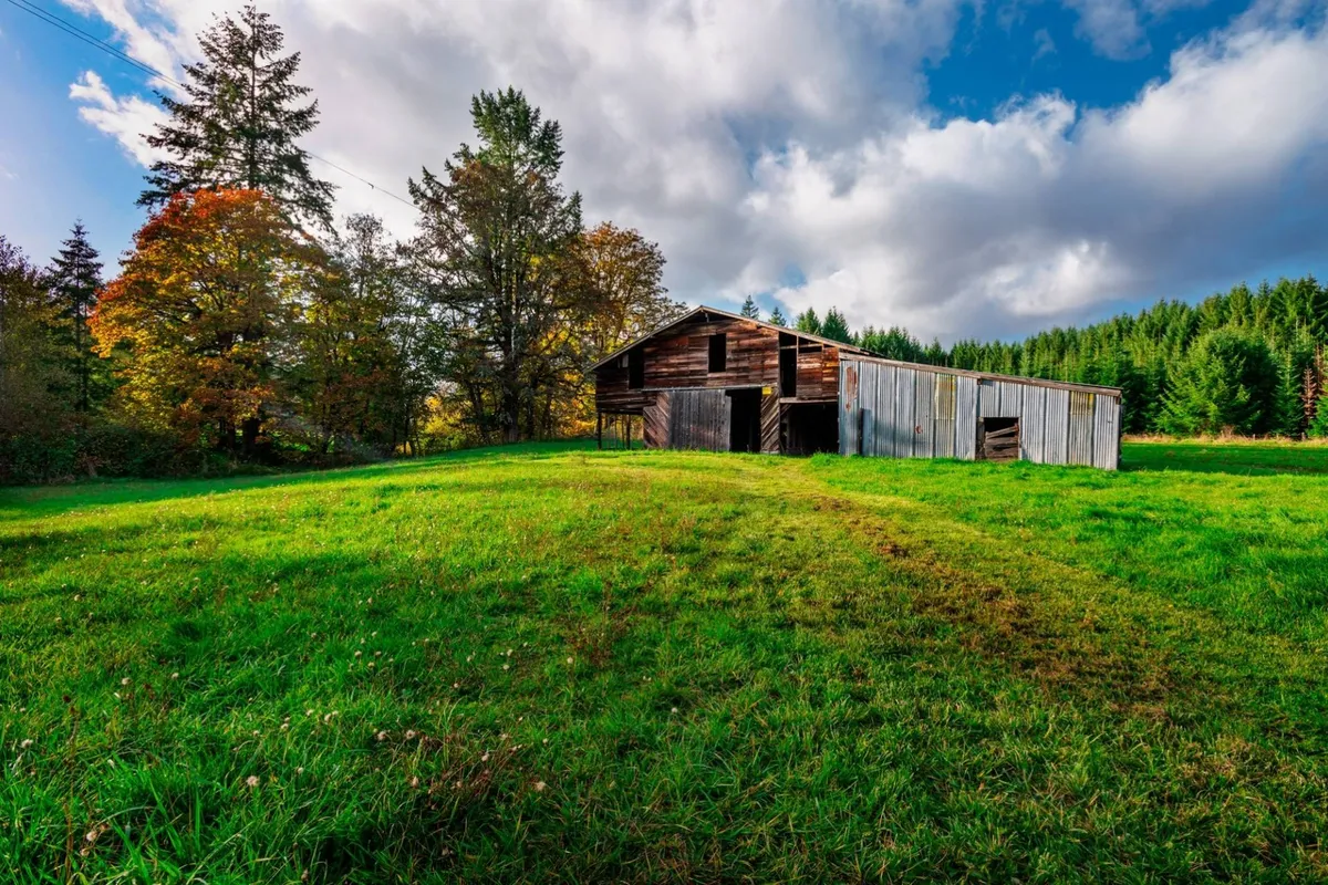 A rustic barn sits among vibrant green grass and mature trees, embodying the authentic farm setting. The barn and surrounding landscape evoke opportunities for nature exploration, wildlife watching, and hands-on farm experiences for children and families.